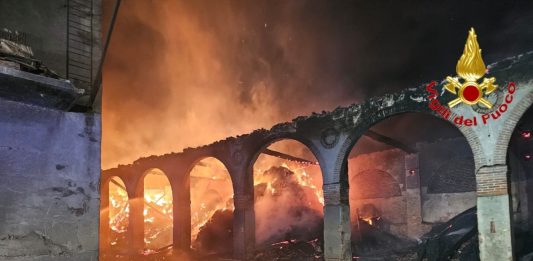 Un incendio devasta Cascina Rancate nel Milanese, tratte in salvo 510 mucche / Video