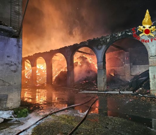 Un incendio devasta Cascina Rancate nel Milanese, tratte in salvo 510 mucche / Video