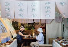 Cina: fiera del tè anima la comunità di Financial Street (2)