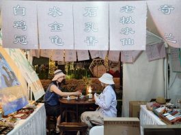 Cina: fiera del tè anima la comunità di Financial Street (2)