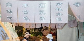 Cina: fiera del tè anima la comunità di Financial Street (2)