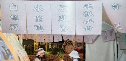 Cina: fiera del tè anima la comunità di Financial Street (2)