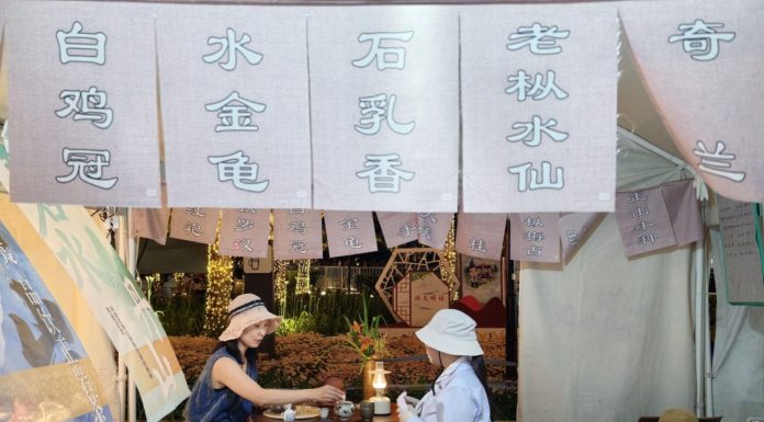 Cina: fiera del tè anima la comunità di Financial Street (2)