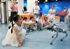 Cina: iniziative nel Paese per la Giornata internazionale dei bambini (1)