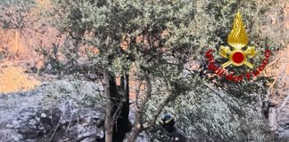 Incendio sul Monte Faeta, arrestata la propagazione del fronte di fiamma. Indagati due operai agricoli / Video