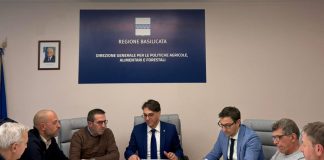 Basilicata, al via la campagna di forestazione 2026