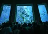 Cina: acquario di Atlantis Sanya attira visitatori a Hainan (1)
