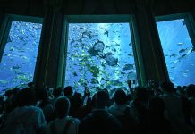 Cina: acquario di Atlantis Sanya attira visitatori a Hainan (1)