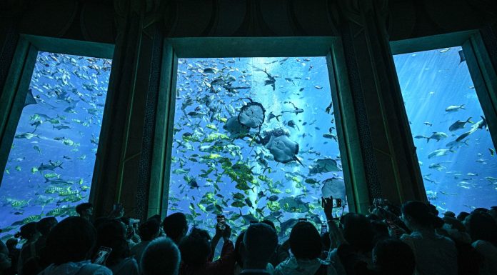 Cina: acquario di Atlantis Sanya attira visitatori a Hainan (1)