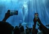 Cina: acquario di Atlantis Sanya attira visitatori a Hainan (3)