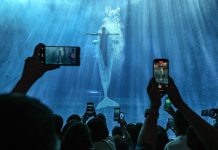 Cina: acquario di Atlantis Sanya attira visitatori a Hainan (3)
