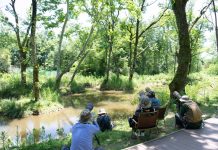 Cina: birdwatching e turismo nel villaggio di Bangxia (3)