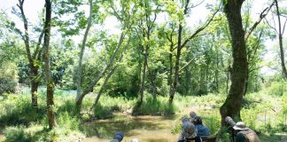 Cina: birdwatching e turismo nel villaggio di Bangxia (3)
