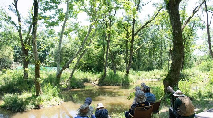 Cina: birdwatching e turismo nel villaggio di Bangxia (3)