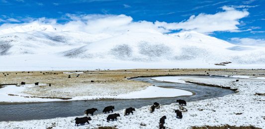 Cina: paesaggio innevato sulla prateria di Qiangtang nello Xizang (2)