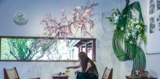 Cina: Huzhou punta su giovani imprenditori e turismo culturale (2)