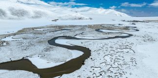 Cina: paesaggio innevato sulla prateria di Qiangtang nello Xizang (3)