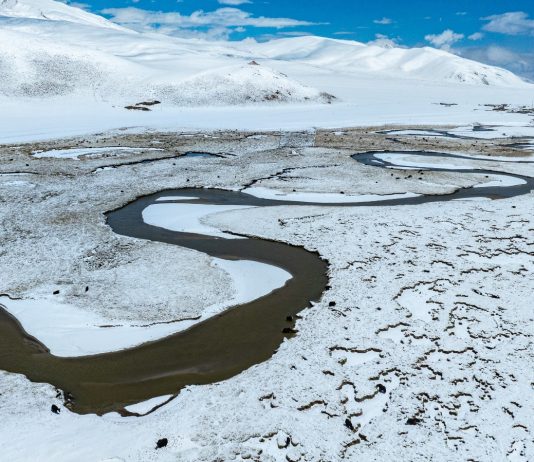 Cina: paesaggio innevato sulla prateria di Qiangtang nello Xizang (3)