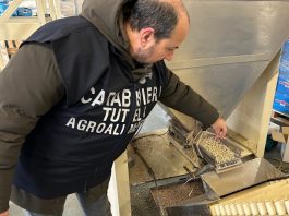 A Reggio Emilia sequestrate 90 tonnellate di cereali e legumi invase dai roditori. Lollobrigida “Controlli decisivi per tutela salute e Made in Italy”