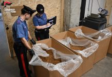 Fabbrica clandestina di sigarette a Parma, 12 arresti e 20 tonnellate di tabacco sequestrate