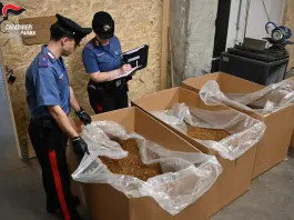 Fabbrica clandestina di sigarette a Parma, 12 arresti e 20 tonnellate di tabacco sequestrate