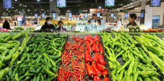 Cina: l’inflazione al consumo mantiene una moderata ripresa ad aprile
