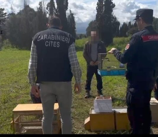 Maxi operazione anti bracconaggio nelle province di Cagliari e del Sud Sardegna, 15 denunciati