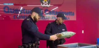 Tre chili e mezzo di droga nascosti in garage, arrestato un pregiudicato 25enne a Gela