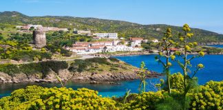 Asinara, la Giunta approva l’aggiornamento del Piano del Parco Nazionale