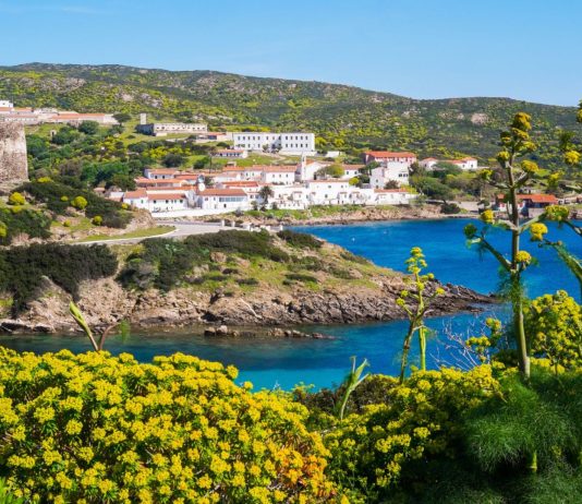 Parco dell’Asinara, dalla Regione Sardegna via libera all’approvazione del Piano