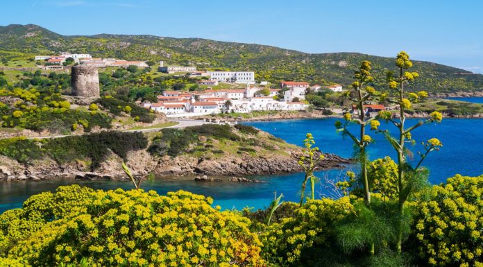 Asinara, la Giunta approva l’aggiornamento del Piano del Parco Nazionale