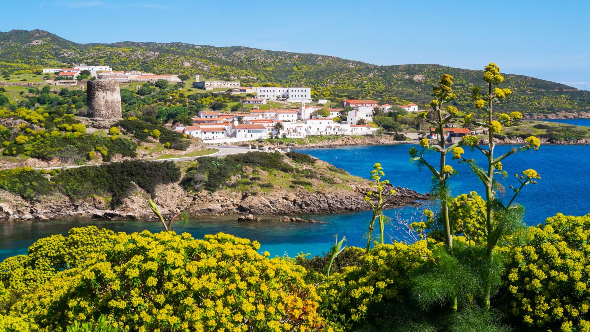 Parco dell’Asinara, dalla Regione Sardegna via libera all’approvazione del Piano
