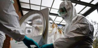 Ebola, negativo il test del paziente rientrato in Sardegna dal Congo