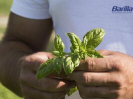 Ambiente, in “storie di sostenibilità” tutti i progetti di Barilla