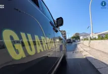 Truffa su fondi veterinari a Palermo, sequestro da 175 mila euro
