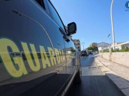 Truffa su fondi veterinari a Palermo, sequestro da 175 mila euro