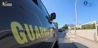 Truffa su fondi veterinari a Palermo, sequestro da 175 mila euro