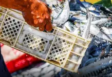 Uila Pesca, al via lunedì a Roma il settimo Congresso nazionale