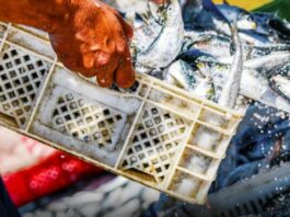 Uila Pesca, al via lunedì a Roma il settimo Congresso nazionale