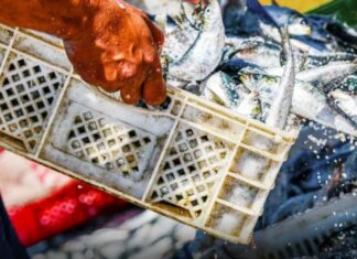 Uila Pesca, al via lunedì a Roma il settimo Congresso nazionale
