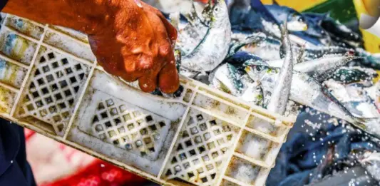 Uila Pesca, al via lunedì a Roma il settimo Congresso nazionale