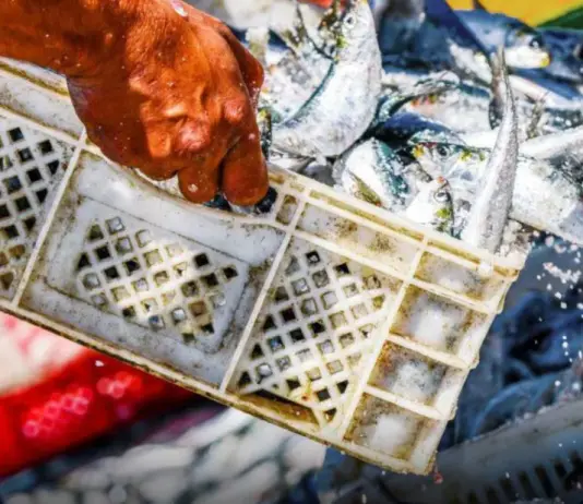 Uila Pesca, al via lunedì a Roma il settimo Congresso nazionale