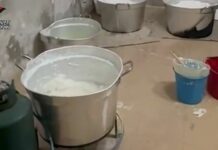 Stroncato traffico internazionale di droga tra Lazio e Sud America, 11 indagati