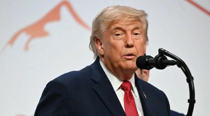 Trump “Meloni vuole tornare amica per far risalire i suoi consensi, no grazie”