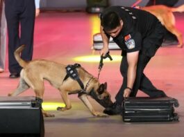 Cina, da inizio anno sequestrate oltre 4 tonnellate di droga alle frontiere