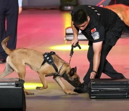 Cina, da inizio anno sequestrate oltre 4 tonnellate di droga alle frontiere