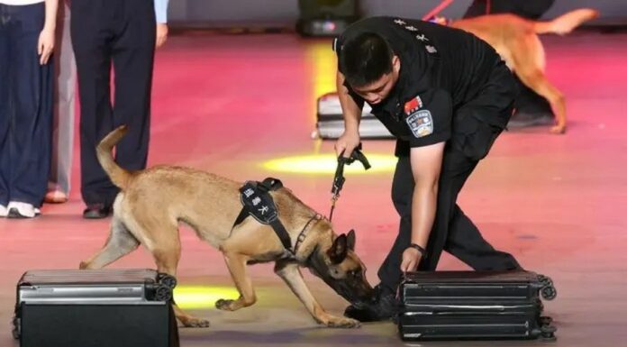 Cina, da inizio anno sequestrate oltre 4 tonnellate di droga alle frontiere