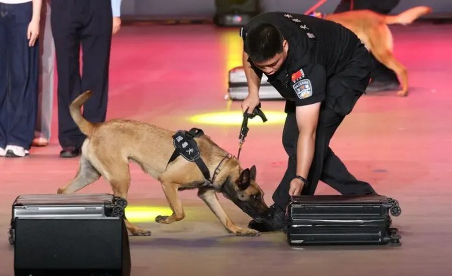 geronimo it i-carabinieri-scoprono-sedicente-guaritore-chiesto-il-processo-A11156 009