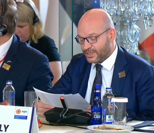 Fontana al vertice parlamentare dell’assemblea Nato a Istanbul “L’Alleanza è forte quando è unita” / Video