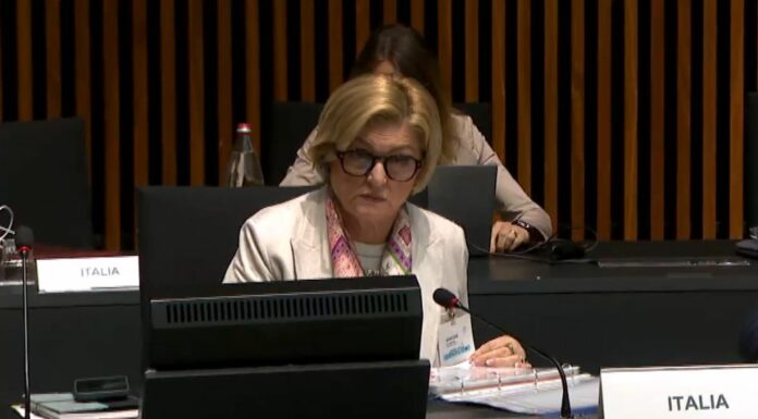 Calderone “Tutela dei lavoratori è pilastro fondamentale dell’Europa”